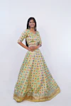 Lehenga Cholis-thumb